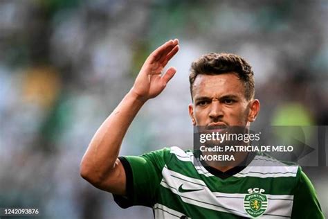 Pote Sporting Lisbon Midfielder, Profile & Stats